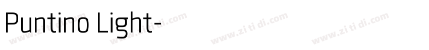 Puntino Light字体转换